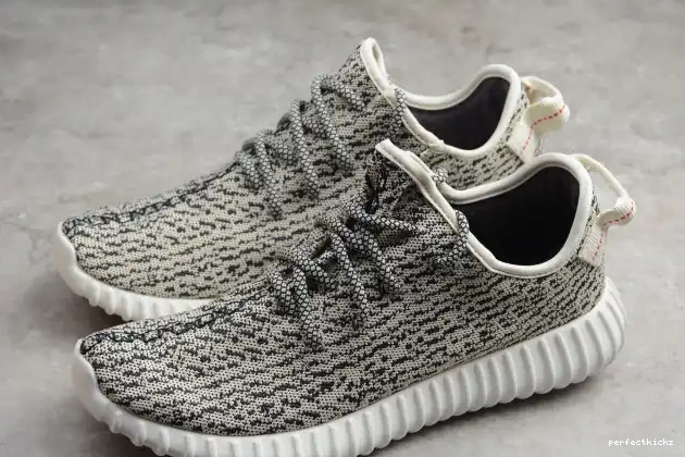 YEEZY Dove Boost 350 AQ4832 Adidas Turtle 0701